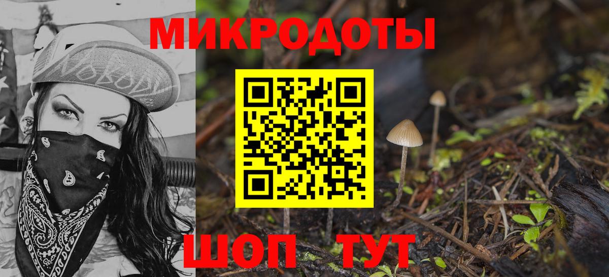 Галлюциногенные грибы прущие грибы  Вход с VPN  Топки 
